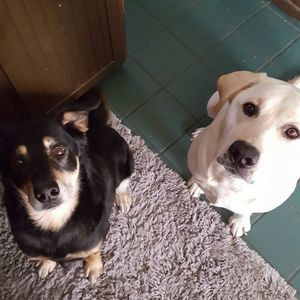 Meet your Posher, Mary